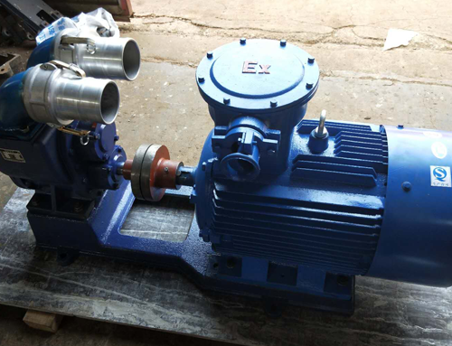 <strong>CLZ立式船用自吸離心泵</strong> <strong>CLZ立式船用自吸離心泵</strong>